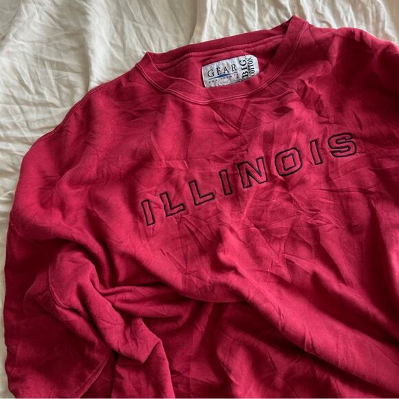SALE💝 Vintage Illinois College/University Sweatshirt - Picture 2 of 4